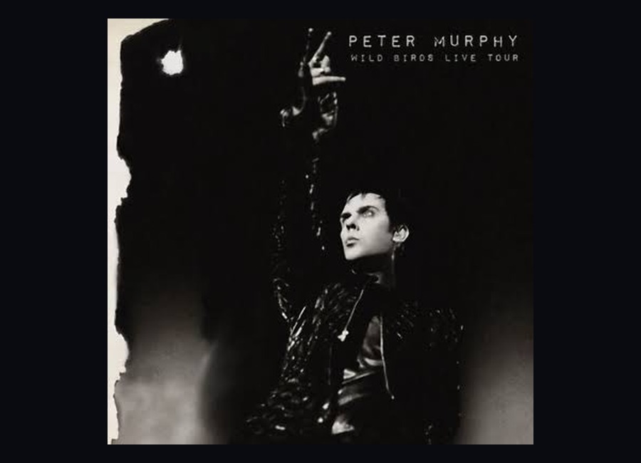 Peter Murphy