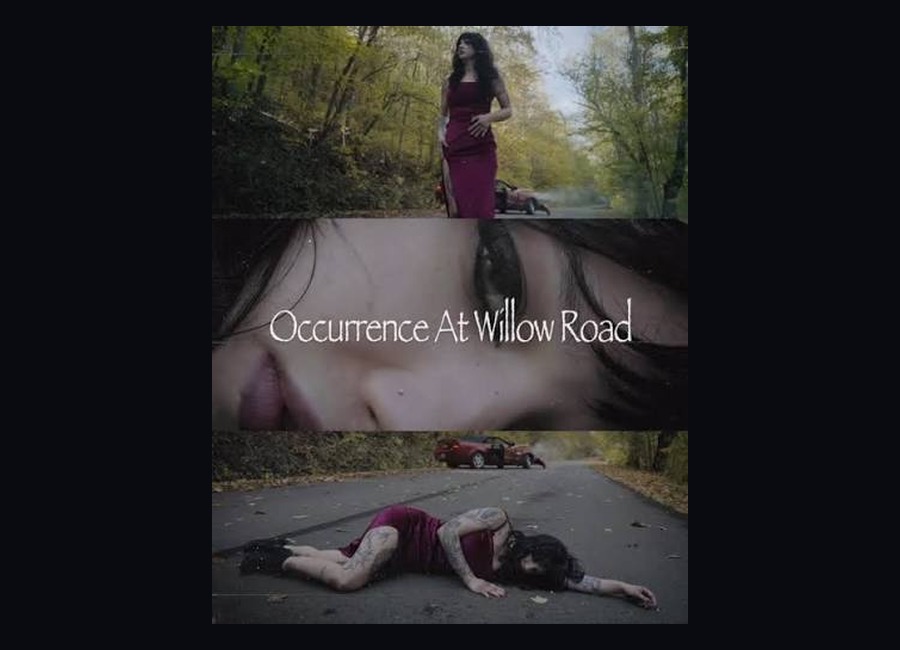 Occurance At Willow Road
