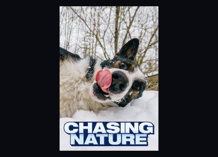 Chasing Nature