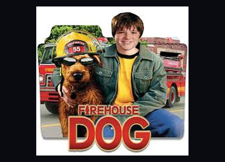 Firehouse Dog